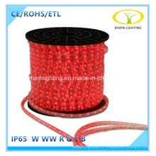 Ce RoHS Approved Flexible LED Strip Light for Hotel